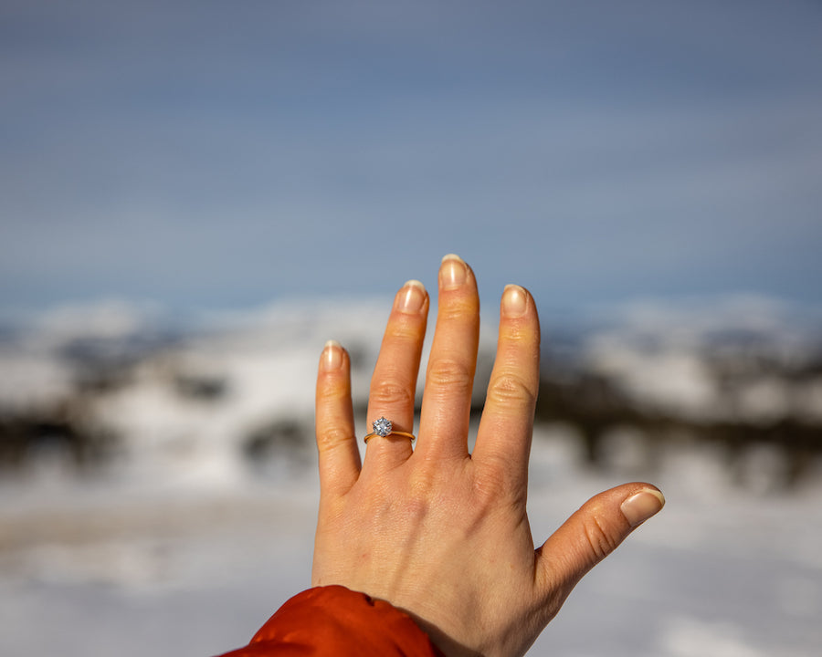 From a South American Adventure to A Yellowstone National Park Proposal