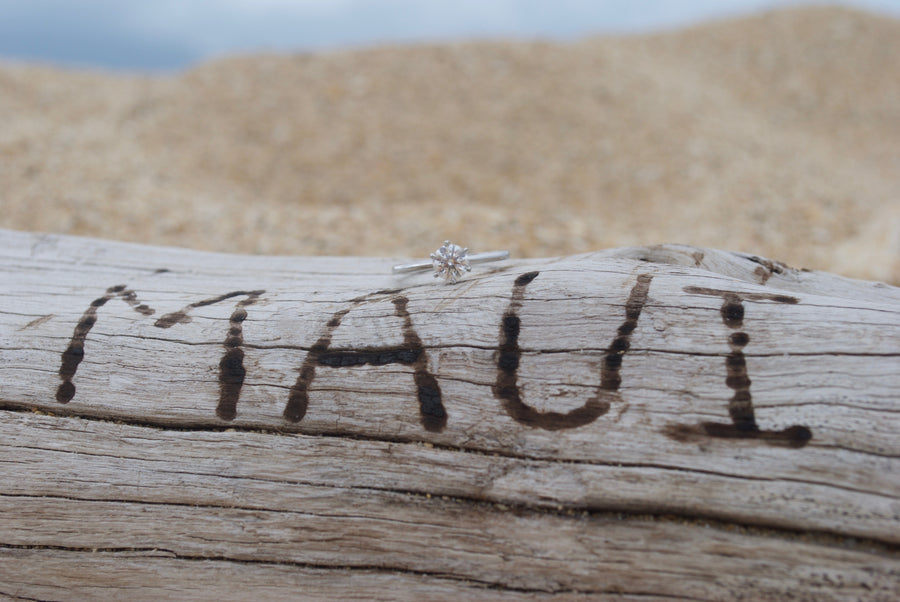 Doug and Julia's Maui Proposal