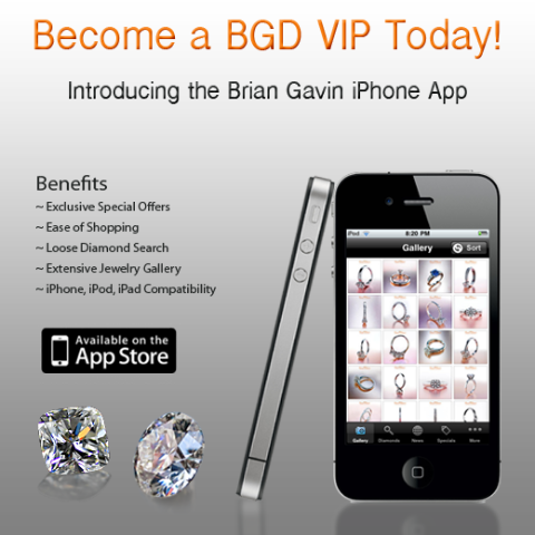 Brian Gavin iPhone App