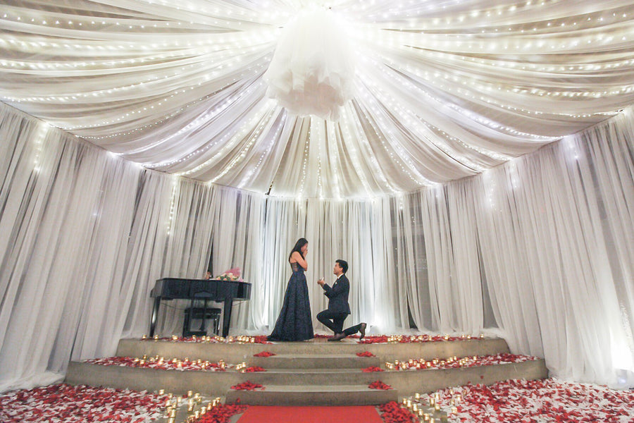 Andrew and Angela Proposal