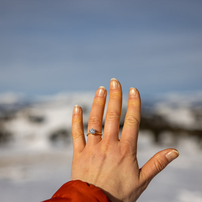 From a South American Adventure to A Yellowstone National Park Proposal