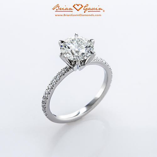 legara pave six prong ring