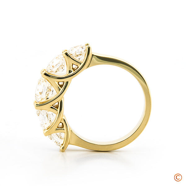 Brian Gavin's Five Stone Trellis Style Engagement/Anniversary Band customized with Graduating Diamonds