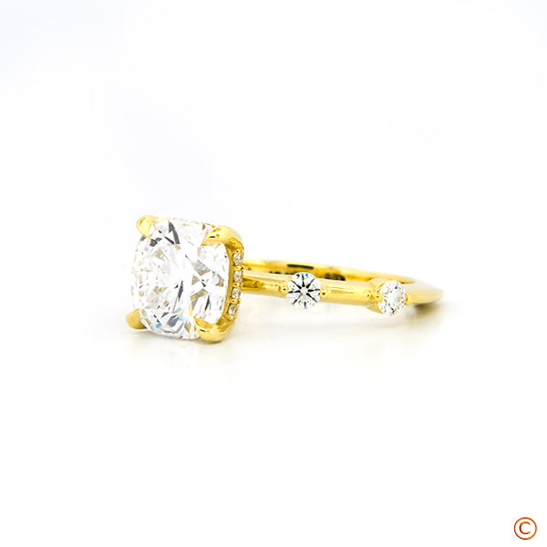 Custom Scattered Diamond Ring Setting With Euro-Shank And Hidden Halo