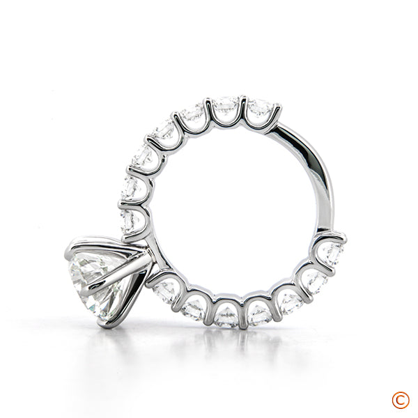 Custom U-Prong Design with 6 Prong Head