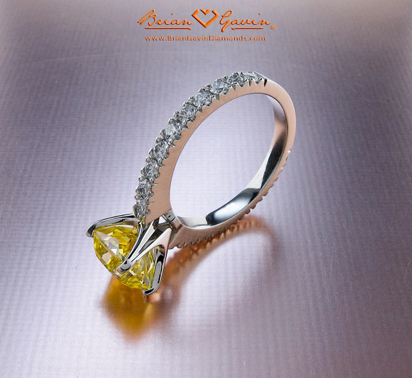 Brian Gavin's "NOVELA" Setting is a Huge Hit......