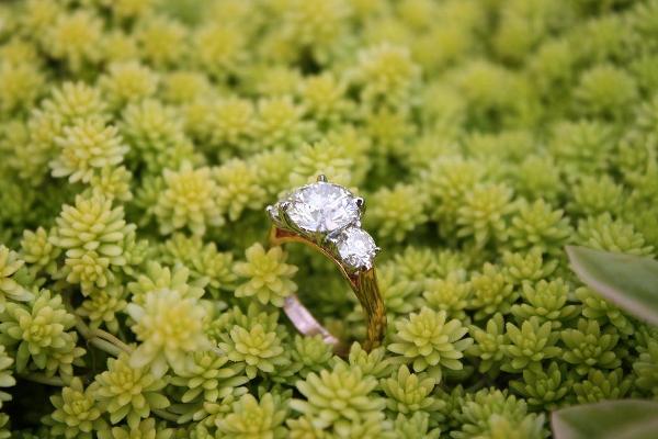 Beautiful Brian Gavin Ring Amongst the Flowers