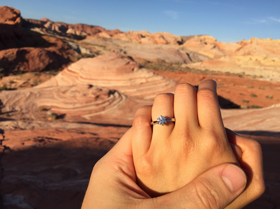 Brian Gavin Diamonds National Proposal Day Entry