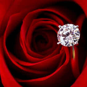 rose and diamond ring