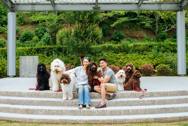 Andre's Puppy Love Proposal