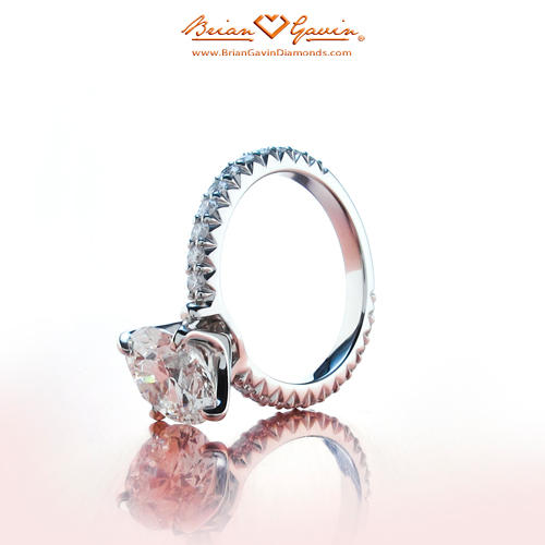 Fishtail Pave Setting in Platinum - Brian Gavin