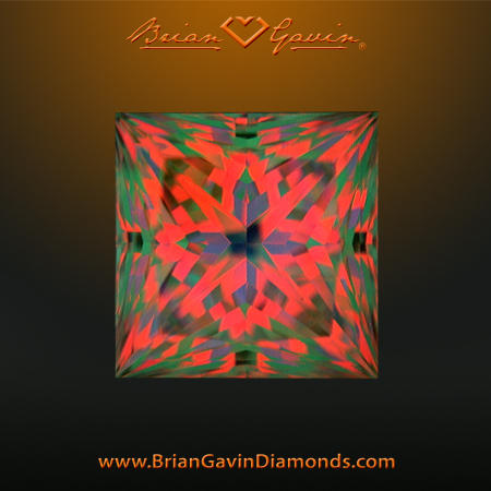 Brian Gavin Princess Cut vs Brian Gavin Round Diamond