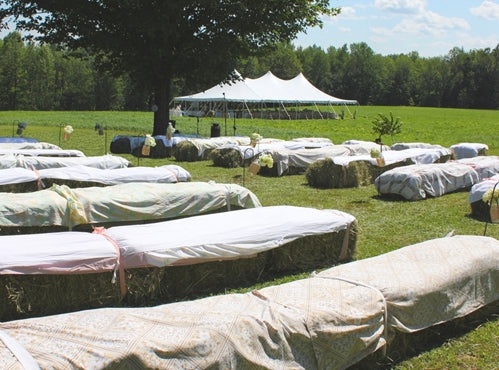 Guide for an eco-friendly wedding