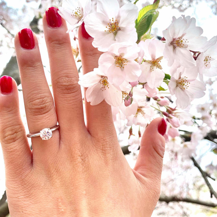 April Showers Bring Forth May Flowers - A May Proposal