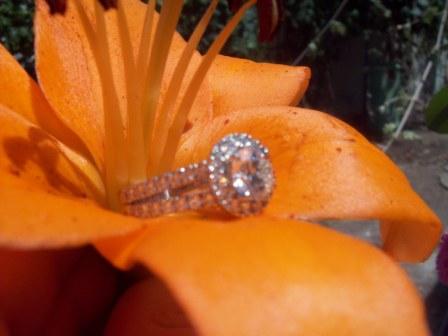 Customer Raves About Her “Kristin” Custom Split Shank Halo Diamond Engagement Ring with a Brian Gavin Signature Hearts and Arrows Center Stone…