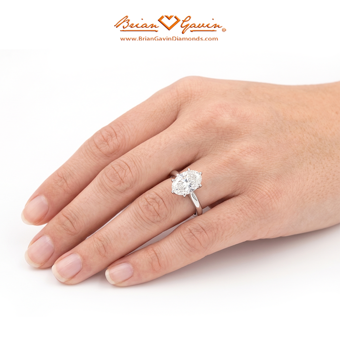14K White Gold, Platinum