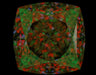 1.22ct Cushion FLY VS1 Natural Diamond ASET image