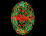 3.22ct Oval G VS2 Natural Diamond ASET image