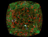 2.52ct Cushion U-V VS1 Natural Diamond ASET image