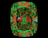 3.01ct CE F VS2 Natural Diamond ASET image