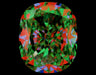 3.01ct CME F IF Natural Diamond ASET image