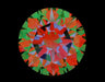 4.70ct Round I VS2 Natural Diamond ASET image