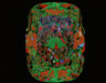 1.59ct CE G IF Natural Diamond ASET image
