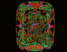 3.07ct CE E VS1 Natural Diamond ASET image