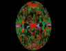 1.40ct Oval I VS2 Natural Diamond ASET image