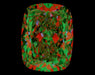1.50ct CE J VS1 Natural Diamond ASET image
