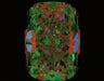 3.03ct CE G VS2 Natural Diamond ASET image