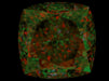 1.03ct Cushion FIY VVS1 Natural Diamond ASET image