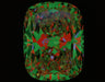 7.05ct CE J VS2 Natural Diamond ASET image