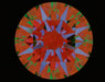 5.01ct Round F VVS2 Natural Diamond ASET image