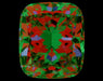 1.50ct CME H VVS1 Natural Diamond ASET image