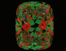 2.50ct CE F VS2 Natural Diamond ASET image