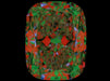 3.01ct CE H VS1 Natural Diamond ASET image