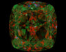 1.55ct Cushion FLY SI1 Natural Diamond ASET image