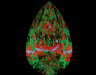 1.50ct Pear I VVS2 Natural Diamond ASET image