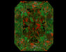 1.30ct Radiant FIY VS2 Natural Diamond ASET image