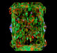 1.41ct Radiant L SI1 Natural Diamond ASET image