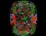1.50ct CE G SI1 Natural Diamond ASET image