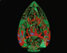 4.01ct Pear I VS1 Natural Diamond ASET image