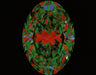 1.70ct Oval F FL Natural Diamond ASET image