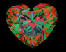 3.01ct Heart D VVS1 Natural Diamond ASET image