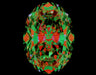 3.50ct Oval F SI1 Natural Diamond ASET image