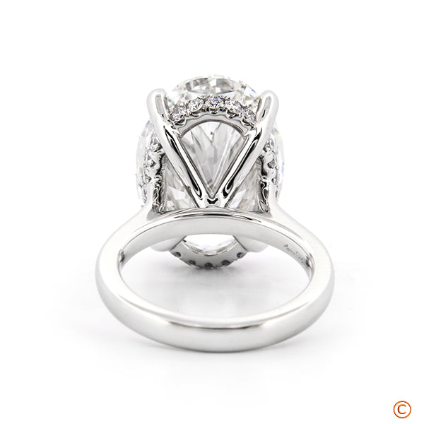 Customized Low-Profile Hidden Halo style Solitaire for 11ct Oval Cut Center Stone