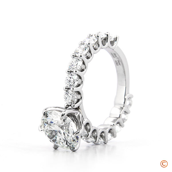 Custom U-Prong Design with 6 Prong Head