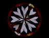 4.20ct Round H VVS2 Natural Diamond hearts image