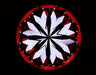 2.02ct Round G VS2 Natural Diamond hearts image